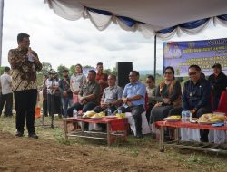Bupati Taput dan Gubernur Sumut Tanam Jagung di Parmonangan: Bentuk Kolaborasi Dorong Ketahanan Pangan dan Respons Keluhan Petani