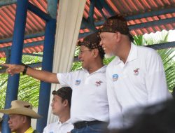 Meriah! Padang Pariaman Pacu Kudo 2026 Resmi Dibuka, Puluhan Ribu Masyarakat Tumpah Ruah