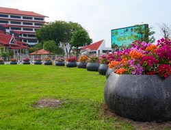 BP Batam:Penataan Pot Bougenville Perkuat Estetika Kota Tanpa Bebani Keuangan Negara
