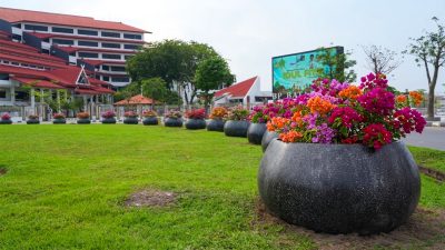 BP Batam:Penataan Pot Bougenville Perkuat Estetika Kota Tanpa Bebani Keuangan Negara