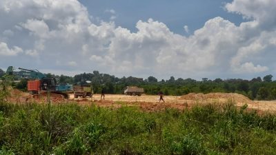 Diduga Izin Belum Lengkap, Aktivitas Penimbunan Hutan Mangrove di Sei Pelunggut Berjalan Lancar