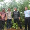 Pemkab Tapanuli Utara gandeng TJSL PT. Taspen (Persero) berikan 1.500 bibit Durian Unggul kepada Kelompok Tani Kecamatan Parmonangan