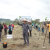 Dorong Kesejahteraan Petani, Pemkab Tapanuli Utara Gerakkan Penanaman 2,2 Juta Batang Kopi Arabika ‎