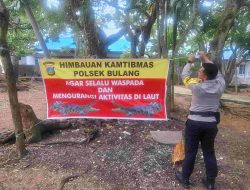 Polsek Bulang Pasang Spanduk Himbauan Kamtibmas Terkait Buaya Lepas Di Pulau Bulan