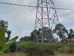 Pembangunan Tower SUTT 150 KV Lubuk Alung – PIP T28A di Batang Anai Masih Menyisakan Polemik Ganti Rugi Lahan