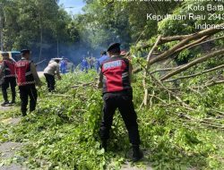 Polresta Barelang Tetap Siaga di Tengah Libur Lebaran, Evakuasi Pohon Tumbang Demi Kelancaran Lalu Lintas
