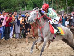 Tumpah Ruah, Iven Pacu Kuda Bupati Cup Di Duku Banyak Balah Aie Meriah!!