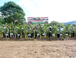Kapolresta Barelang Kombes Pol Zaenal Arifin, S.I.K., Hadiri Panen Raya Jagung, Tegaskan Komitmen Polri Dukung Ketahanan Pangan