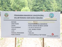 Peringati Hari Buruh Sedunia (MAY DAY) 2025: 1000 Mangrove ditanam di Batam