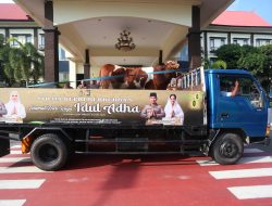 Polda Kepri Lepas 150 Ekor Hewan Kurban Sambut Idul Adha 1446 H