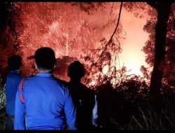 Siang-Malam Kebakaran Hutan Terjadi di Paranginan Humbahas