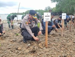 Sinergi TNI-Polri dan Pemko Batam, Ribuan Mangrove Ditanam di Kampung Terih