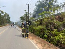 Respon Cepat Ditsamapta Polda Kepri Tangani Kebakaran Lahan di Sambau