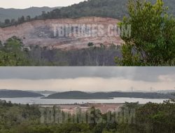 Aktivitas Perusakan Hutan di Pesisir Tanjung Piayu Laut Diduga ilegal