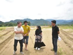 Pemkab Padang Pariaman Genjot Pemulihan Lahan Terdampak Bencana, Target Rampung Maksimal Satu Bulan