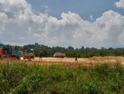 Diduga Izin Belum Lengkap, Aktivitas Penimbunan Hutan Mangrove di Sei Pelunggut Berjalan Lancar