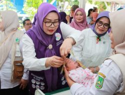 Erlita Amsakar: Posyandu Harus Jadi Pusat Layanan Dasar Masyarakat