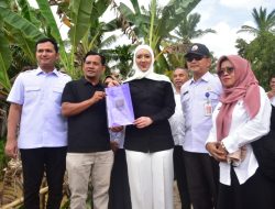 Wabup Rahmat Sambut Kunjungan Reses DPR RI Cindy Monica, Bahas Percepatan Pemulihan Pertanian Pascabencana