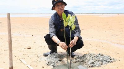 Aksi Menyelamatkan Bumi, Wali Kota bersama Mahasiswa Batam Tanam 2.000 Mangrove