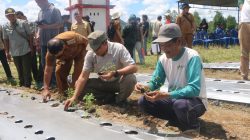 Bupati Taput Dorong BUMDes Sisordak Jadi Pemasok Program Makan Bergizi Gratis