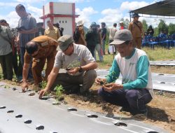 Bupati Taput Dorong BUMDes Sisordak Jadi Pemasok Program Makan Bergizi Gratis