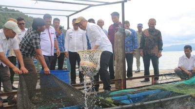 Pemkab Tapanuli Utara Apresiasi Keberhasilan Ketahanan Pangan Desa Hutalontung