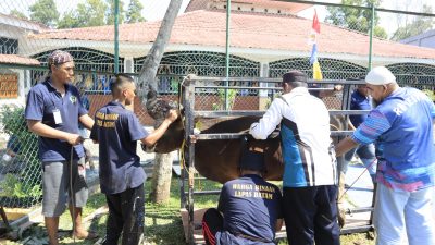 Semangat Idul Adha 1447 H, Lapas Batam Sembelih 8 Hewan Qurban