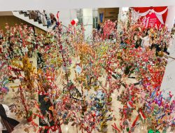 Warna-warni Ratusan Bungo Lado Hiasi Puncak Padang Pariaman Mauluik Gadang 2026 ‎