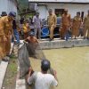 Tinjau BBI Purbatua, Pemkab Taput Dorong Inovasi Budidaya Ikan Air Tawar