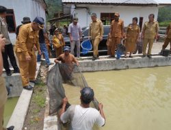Tinjau BBI Purbatua, Pemkab Taput Dorong Inovasi Budidaya Ikan Air Tawar