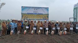Tanam Jagung 10 Hektare, Pemkab Taput Dorong Sijaba Jadi Kawasan Pertanian Terpadu