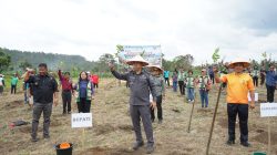 Dorong Kesejahteraan Petani, Pemkab Tapanuli Utara Gerakkan Penanaman 2,2 Juta Batang Kopi Arabika ‎