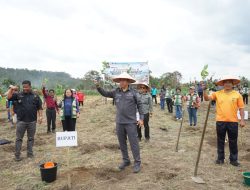 Dorong Kesejahteraan Petani, Pemkab Tapanuli Utara Gerakkan Penanaman 2,2 Juta Batang Kopi Arabika ‎