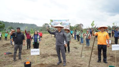 Dorong Kesejahteraan Petani, Pemkab Tapanuli Utara Gerakkan Penanaman 2,2 Juta Batang Kopi Arabika ‎